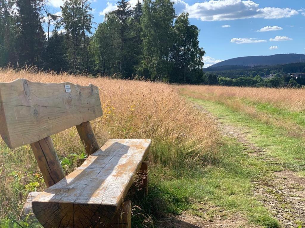 Fuehl Dich Wohl Lejlighed Braunlage Eksteriør billede