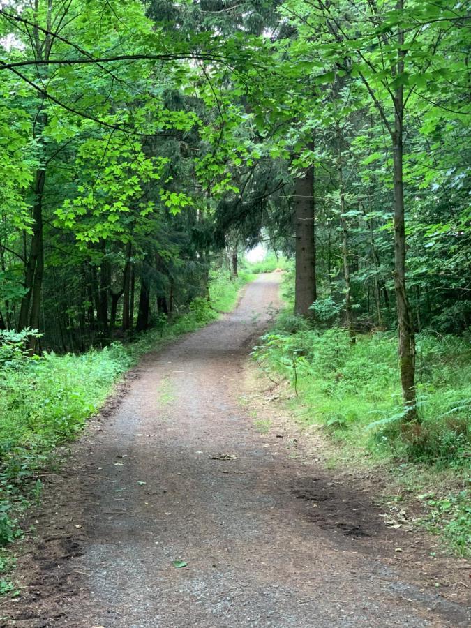 Fuehl Dich Wohl Lejlighed Braunlage Eksteriør billede